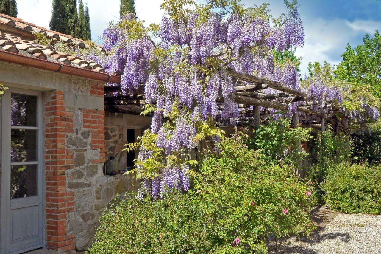 Chiarentana Di Donata Origo Chianciano Terme Exterior foto
